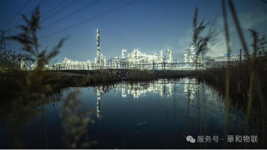 大型石化基地公共管廊监测