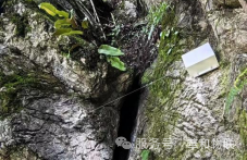 安全生产月 | 警钟长鸣!从基础设施典型事故,探讨科技防灾的前置手段(images 5)